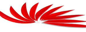 Trueflight Feathers 5.75" Maxi Fletch blaze orange pack 25 image
