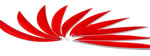 Trueflight Feathers 5.75" Maxi Fletch Blaze Orange pack 25 image