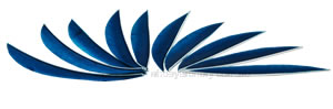 Trueflight Feathers 5.75" Maxi Fletch sky blue pack 100 image