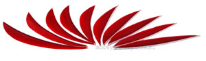 Trueflight Feathers 5.75" Maxi Fletch scarlet red pack 100 image