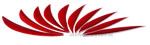 Trueflight Feathers 5.75" Maxi Fletch Scarlet Red pack 25 image