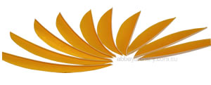 Trueflight Feathers 5.75" Maxi Fletch sunshine yellow pack 100 image