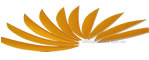 Trueflight Feathers 5.75" Maxi Fletch Yellow pack 100 image