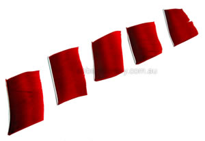 Trueflight Feathers Full Length scarlet red pack 100 image
