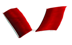 Trueflight Feathers 4" Flu Flu scarlet red pack 100 image