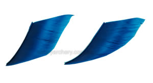 Trueflight Feathers 4" Flu Flu sky blue pack 25 image