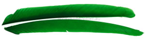 Trueflight Feathers Full Length kelly green pack 12 image