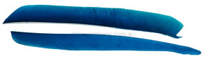 Trueflight Feathers Full Length sky blue pack 100 image