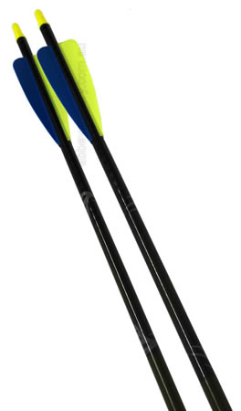 Easton Buckeye Carbon Field Arrow size 500 Dozen image