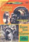 DVD Archery Gobblers and Handing Down the Tradition image