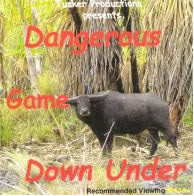 DVD Dangerous Game Down Under image