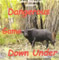 DVD Dangerous Game Down Under image