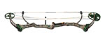 Bear Done Deal Camo image