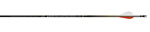 Easton ACC Pro Hunting Arrow dozen - click for more information