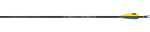 Easton CARBON ONE Arrow dozen image