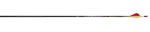 Easton AC Injexion Arrow dozen image