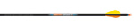 Easton LightSpeed 3D Arrow dozen image