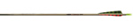 Easton XX75 Legacy Arrow dozen image