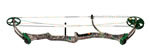Bear Game Over Camo image