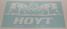 Hoyt Fighting Bucks Decal 5.5" x 11.25" image