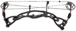 Hoyt Rampage XT Target - click for more information