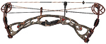 Hoyt Rampage XT Camo - click for more information