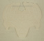 Team Hoyt Skull Decal 7" x 11" image