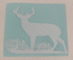 Whitetail Hoyt Decal 11.25" x 8.5" image