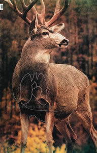 Deer Animal Target Face image