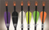 Plastifletch Max 2" Pack 100 image