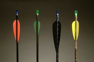 Speed Flyte Vanes 28 Black image