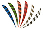 Trueflight 5in Parabolic Barred Feathers 12pk - click for more information