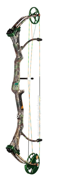 Bear The TRUTH 2 Camo image