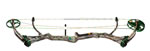 Bear The TRUTH 2 Camo image