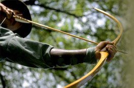 Bow Hunting