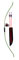 Bear Cherokee Recurve Bow Set 60" 25-30 lbs RH LH image