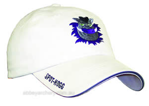 Spot-Hogg Cap Stone Wash image
