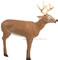 Delta McKenzie 3D Bloodline Buck - click for more information