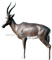 Delta McKenzie Pro 3D African Blesbok - click for more information