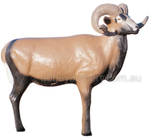 McKenzie Corsican Sheep image