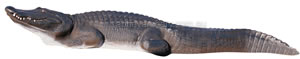 Delta McKenzie Pro 3D Alligator image