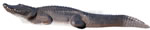 Delta McKenzie Pro 3D Alligator - click for more information