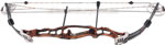 Hoyt 38 Pro Target - click for more information