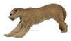 Delta Elite Mountain Lion - click for more information