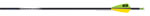 Easton ACE arrow dozen - click for more information