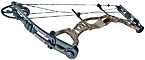 Hoyt AlphaMax 32 Bone Collector - click for more information