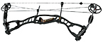 Hoyt AlphaMax 32 Target - click for more information