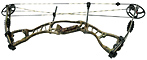 Hoyt AlphaMax 32 Camo - click for more information