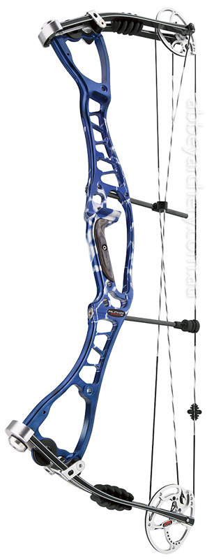Hoyt AlphaMax 35 Target image