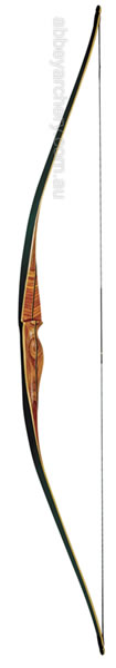 Martin Bamboo Viper Longbow 64in image